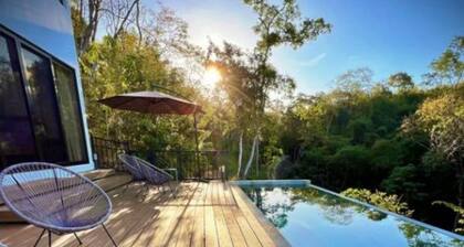 Stairway to heaven where the jungle meets the sky! Bioluminescence, Isla Tortuga