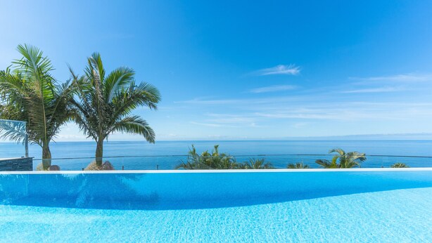 A clear blue pool with a view of the ocean and palm trees.