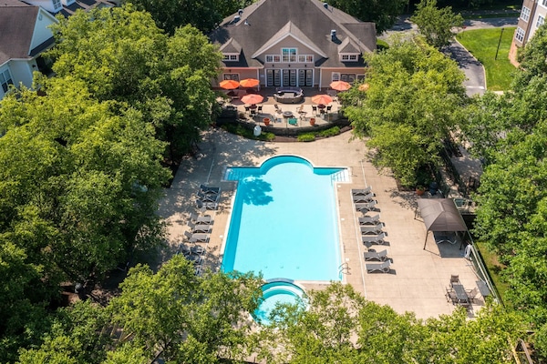 Seasonal outdoor pool, sun loungers