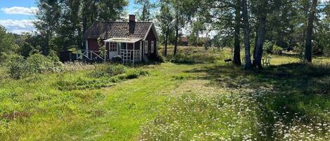 Eksteriør