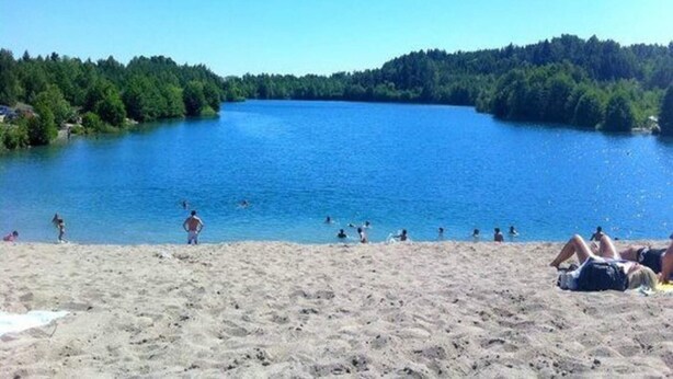 A beach with a lake, surrounded by forest.