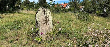 Maison | Terrain de lâhĂ©bergement