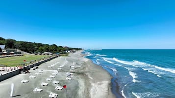 A beach with rows of sun loungers and a clear view of the ocean.