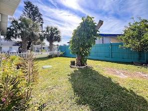 A backyard with a small tree, a white fence, and a blue fence. - Cottage & Bungalow | Coastal 2-Unit Retreat (St. Augustine)