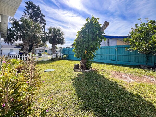 A backyard with a small tree, a white fence, and a blue fence.