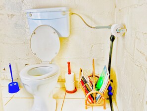 Shower, towels, soap, toilet paper