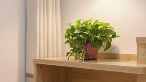 Un bureau en bois avec un pot de plante.