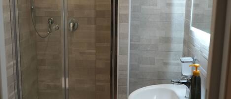 Shower, hair dryer, bidet, towels