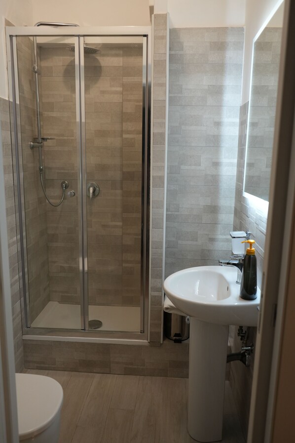 Shower, hair dryer, bidet, towels