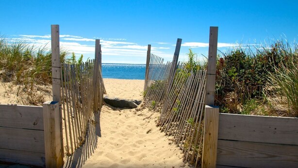 Caminho de areia que leva ao oceano, ladeado por cercas de madeira e vegetação.