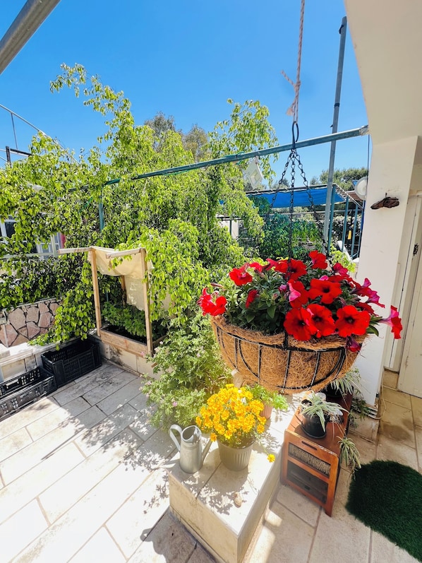 Terassi/patio