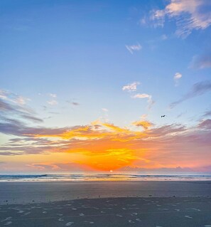 Condo, Multiple Beds (Golden Arms 101) | Beach | On the beach - Golden Arms 101 (New Smyrna Beach)