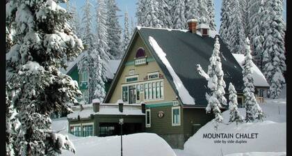 Cozy 3 Bedroom ski chalet with private hot tub- Sleeps 9
