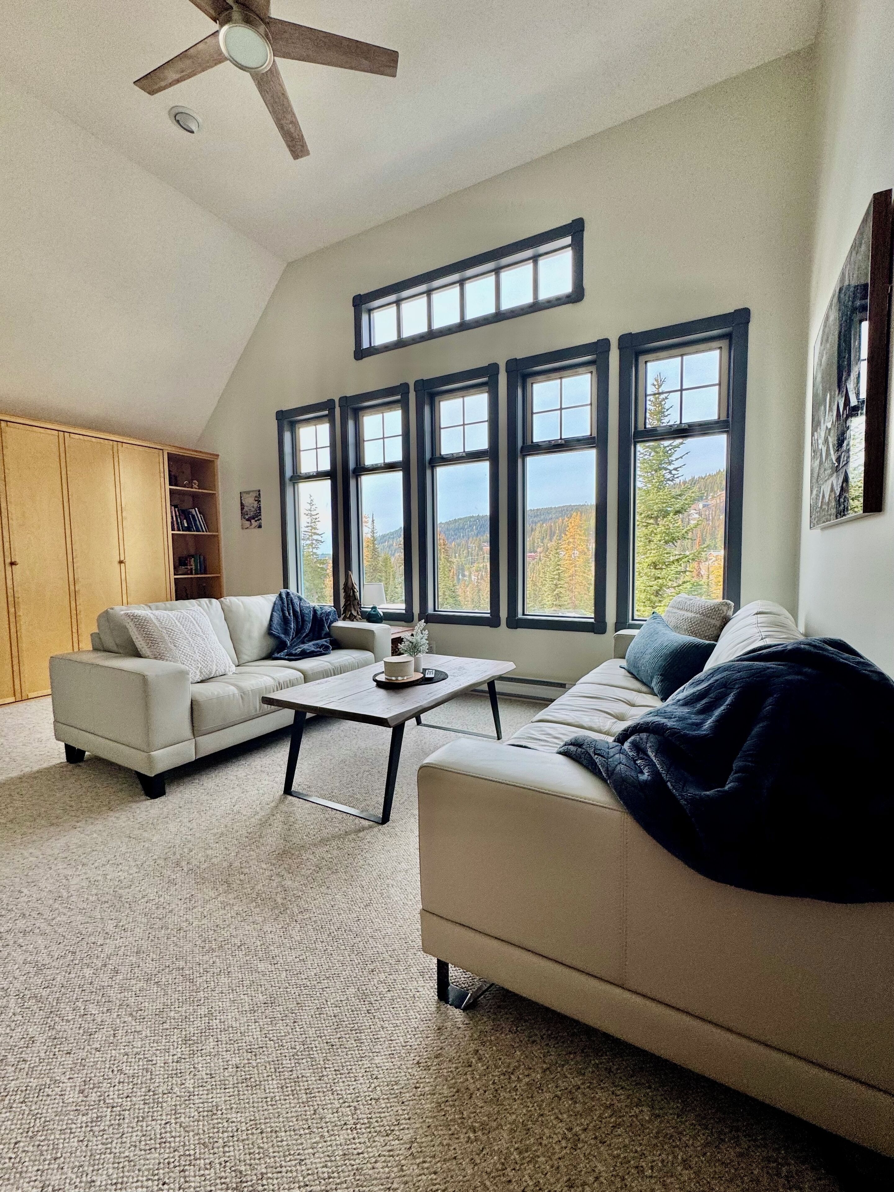 TV connectée, cheminée, livres