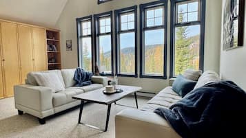 Smart TV, caminetto, libri