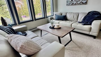 Smart TV, fireplace, books