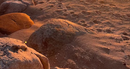 Spacious, renovated Beach House