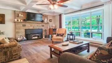 Smart TV, caminetto, lettore DVD, libri