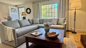 Smart TV, fireplace, table tennis, books