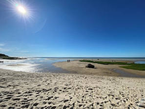 Camastros y toallas de playa