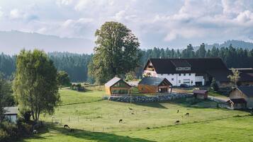 Esterni