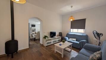 Una televisión, una chimenea