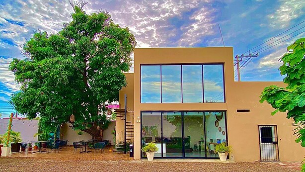 Un edificio moderno de dos pisos con un gran árbol en la fachada, mesas al aire libre y un cielo despejado.