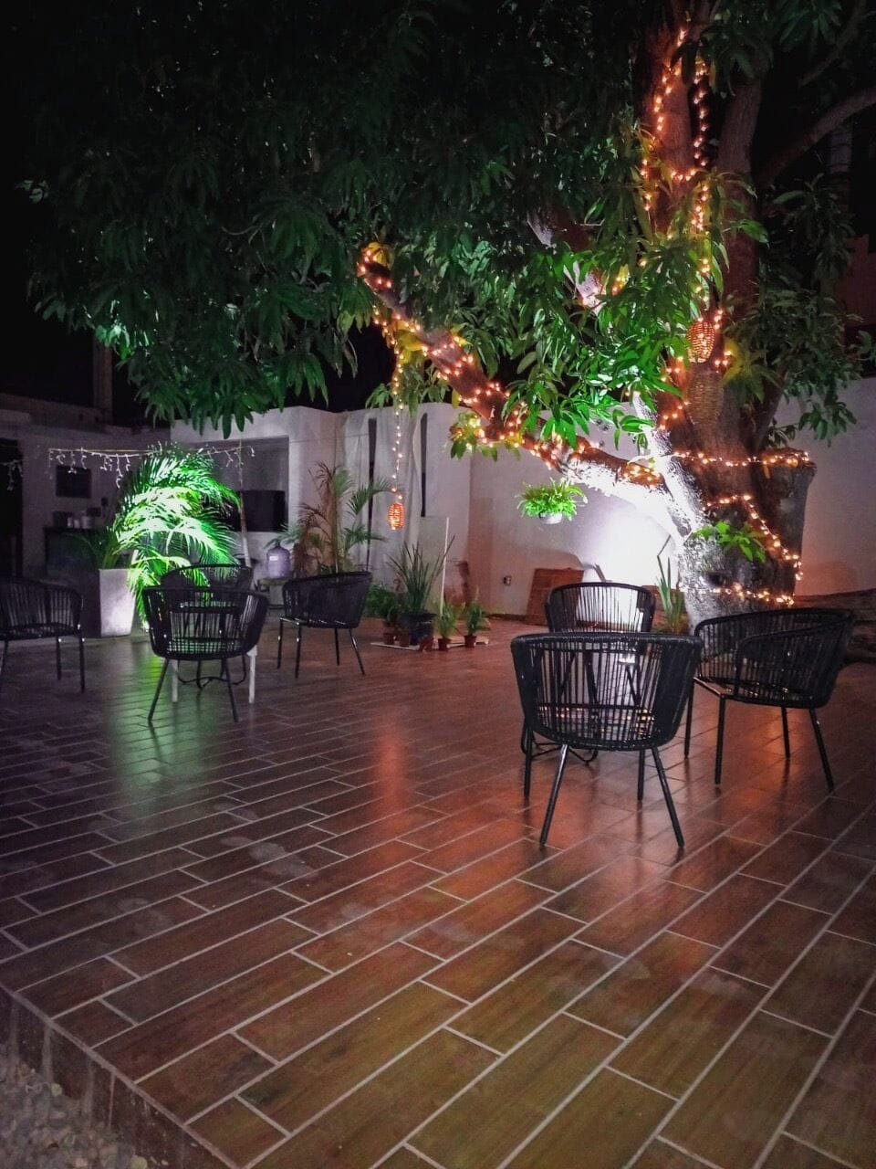 Un espace extérieur aménagé avec des chaises et des tables, entouré d’arbres et de plantes, sous un ciel étoilé.