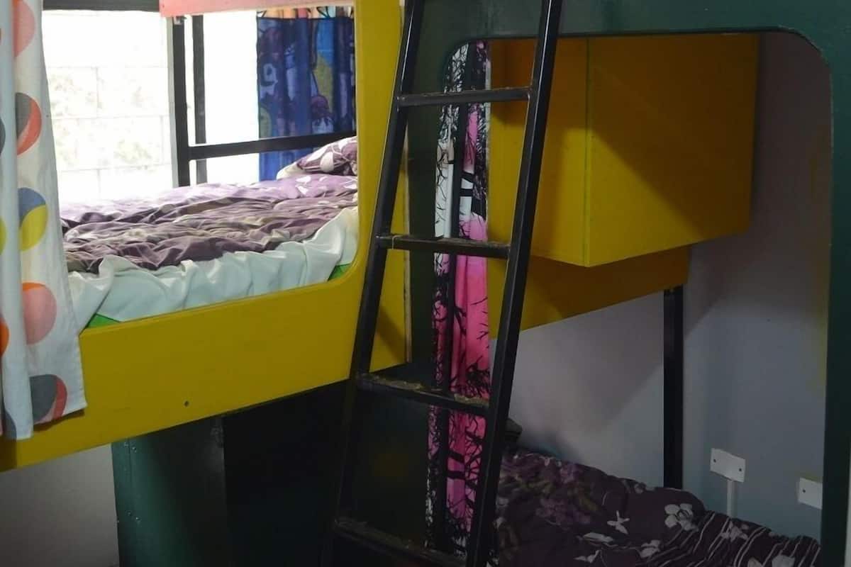 Une chambre avec un lit superposé, une échelle, une fenêtre avec des rideaux et un tissu à motifs verts accroché au mur.