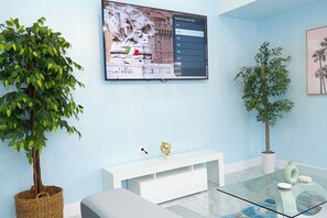 TV