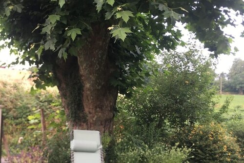 Charming cottage Sauna Garden Private parking