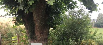 Charming cottage Sauna Garden Private parking