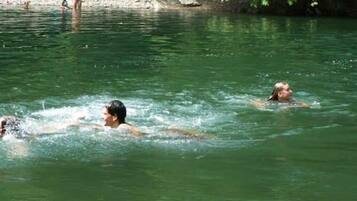 A natural pool with clear water, surrounded by greenery and rocks.