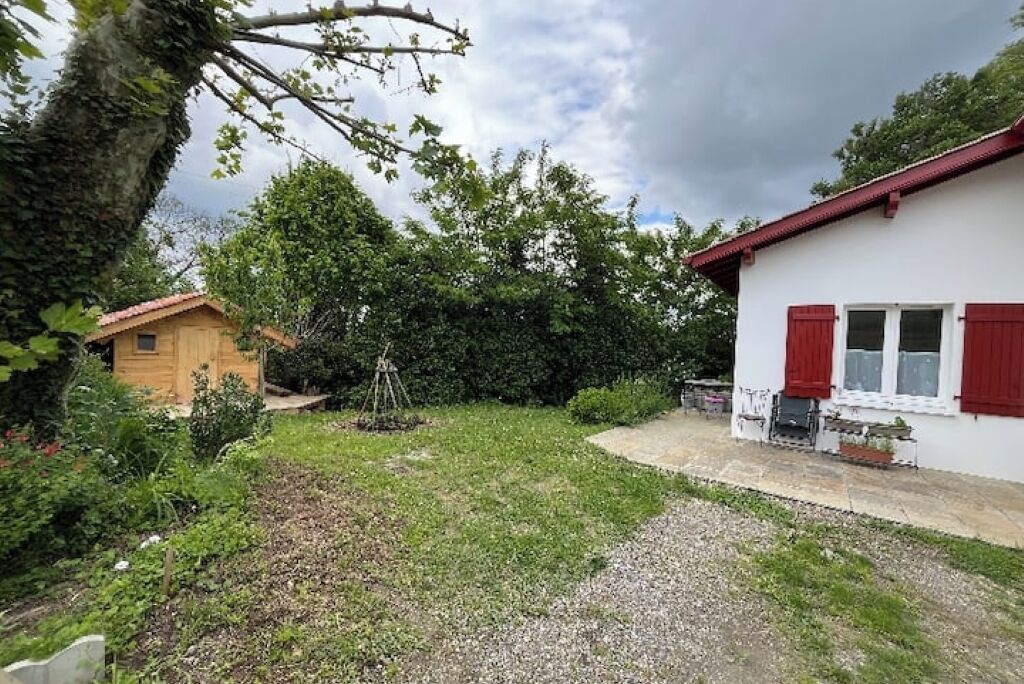 A garden with a wooden shed and a white building with red shutters.