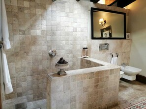 Shower, hair dryer, bidet, towels