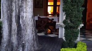 A wooden deck with a bench, a large tree, and a potted plant.