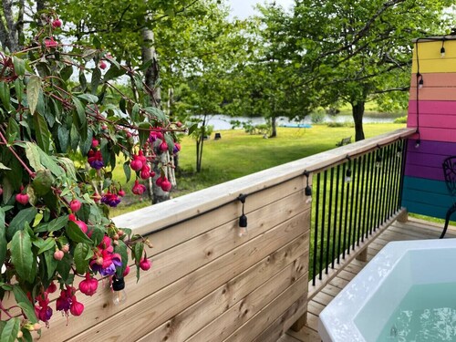 Fauna studio on the lake