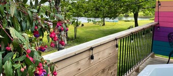 Fauna studio on the lake