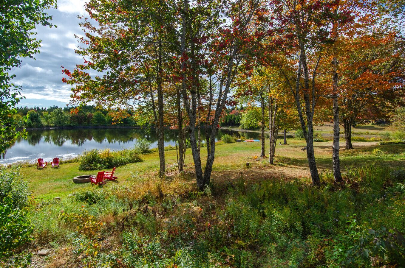 A lakeside view with trees, a grassy area, and a small dock.