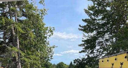 Flora studio on the lake 🌿