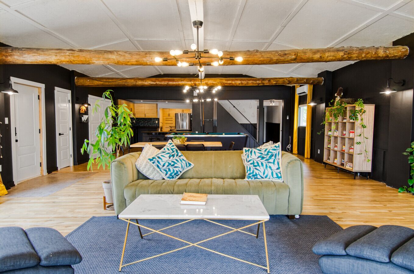 TV, fireplace, books