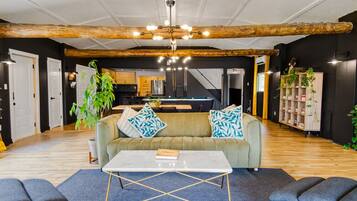 TV, fireplace, books