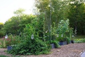 Terrain de l’hébergement 