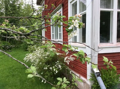 A cosy little stockhouse_the archipelago of Maxmo