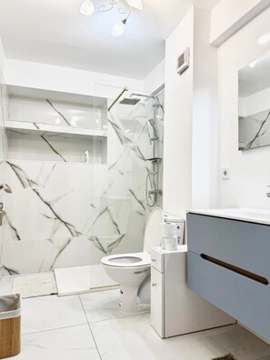 Shower, towels, soap, toilet paper