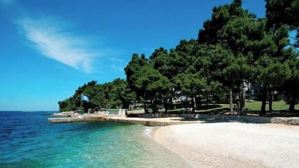 Una playa con agua turquesa cristalina, una orilla de arena y una hilera de árboles.
