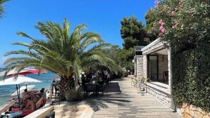Un paseo marítimo con palmeras, un edificio de piedra con puerta de cristal y vista al mar.