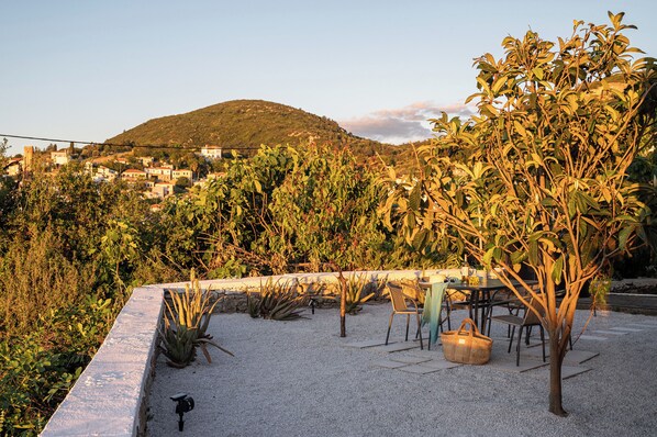 A rooftop garden with a table and chairs, surrounded by various plants and a view of a hillside town.