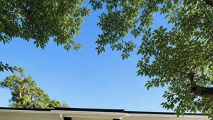 A single-story house with a blue front door, white siding, and black shutters. - Entire Spacious and beautiful 5 Bedroom House (Garland)