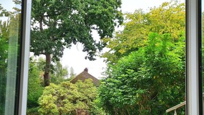 A view through a glass door into a garden with a stone pathway, a metal fence, and a variety of trees and shrubs.